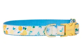 Sunday Brunch Dog Collar - Two Styles!